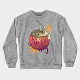 Turt Burglar Crewneck Sweatshirt